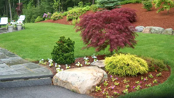 Landscape Management Beaverton OR